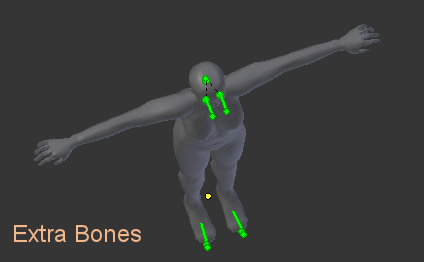 Extra_Bones