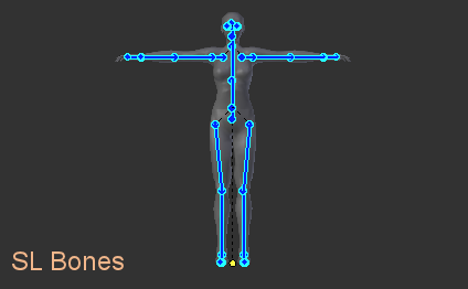 SLl_bones